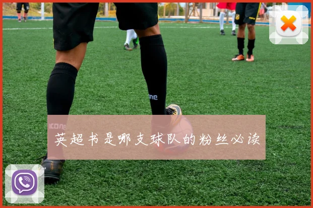 英超书是哪支球队的粉丝必读