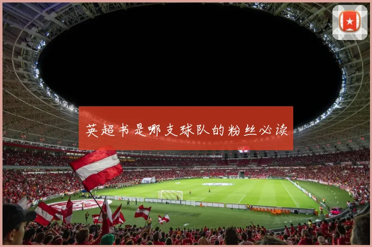 英超书是哪支球队的粉丝必读